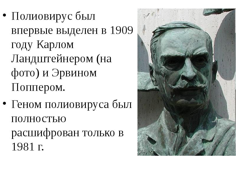 Полиовирус был впервые выделен в 1909 году Карлом Ландштейнером (на фото)