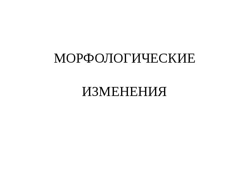 МОРФОЛОГИЧЕСКИЕ  ИЗМЕНЕНИЯ