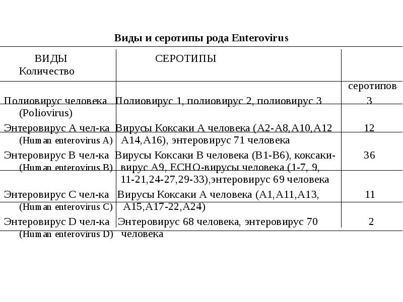 Виды и серотипы рода Enterovirus      