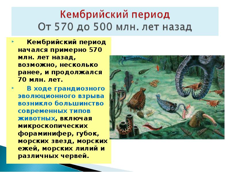 Период назад. Кембрийский период (530 – 490 млн. Лет назад). Климат кембрийской эры. Кембрийский период презентация. Кембрийский взрыв презентация.