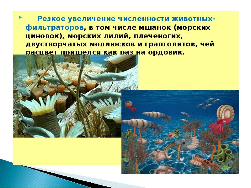 Численность популяции животных. Численность популяции зайца беляка. Увеличение численности животных. Зависимость численности рысей от численности зайцев. Численность популяции.
