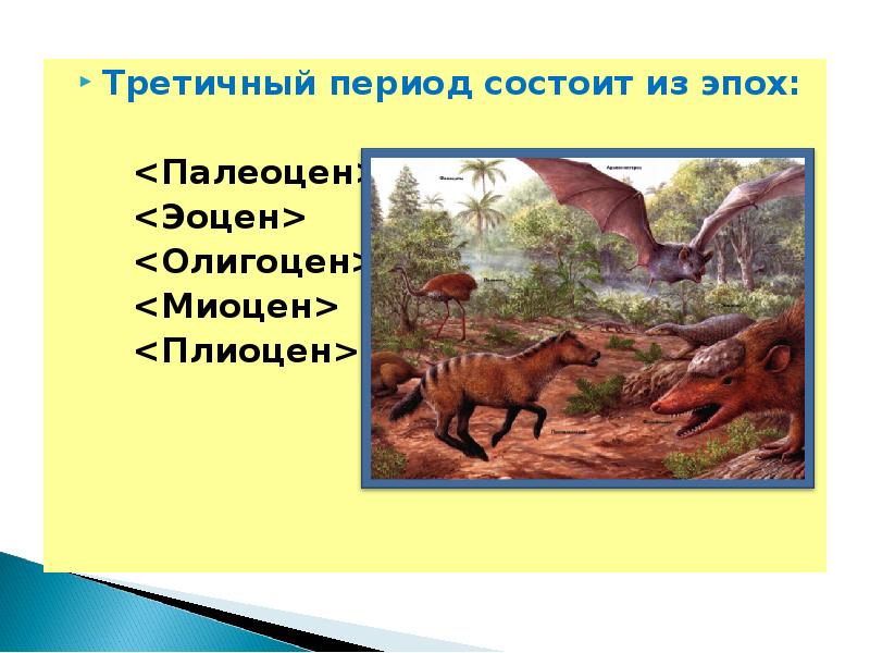 Периоды состоят из. Олигоцен миоцен. Палеоцен эоцен олигоцен миоцен плиоцен. Эпохи третичного периода. Третичный период эпоха палеоцен эоцен.