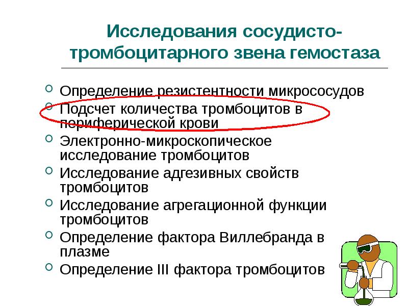 Сосудистые исследования