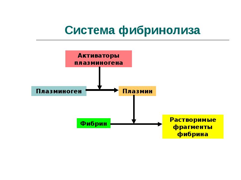 Схема фибринолиза физиология