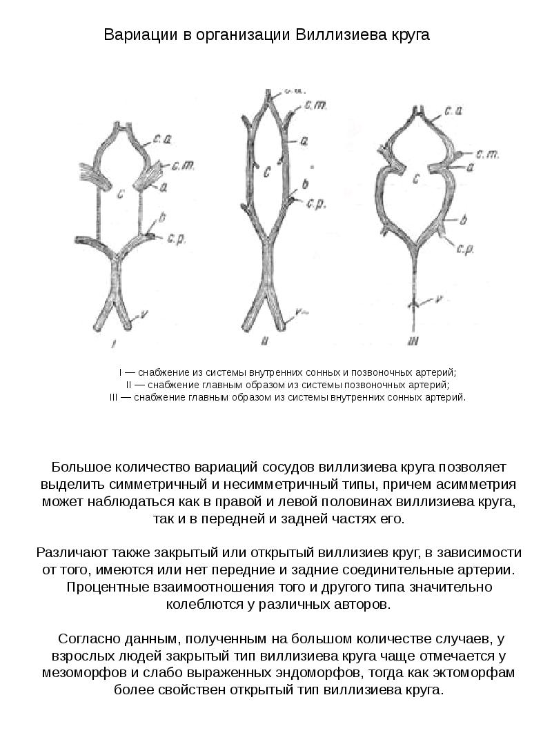Вариант развития виллизиева круга что это