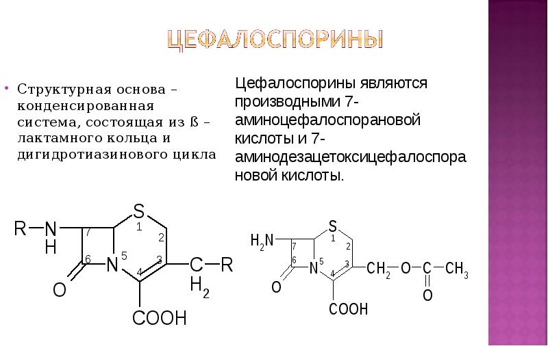 Структурная основа. 7 Аминоцефалоспорановая кислота формула. Б лактамное кольцо. Дигидротиазиновый цикл.