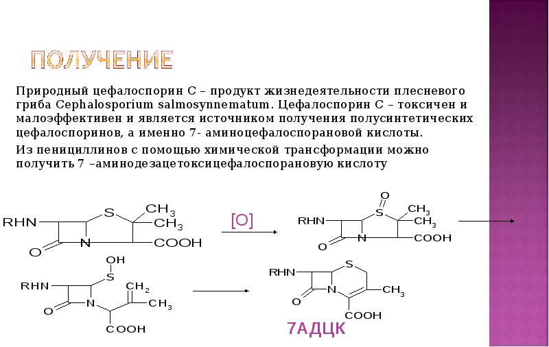 Получение компонентов геншин. Цефалоспорины получение. Синтез цефалоспоринов. Структура цефалоспоринов. Методы получения цефалоспоринов.