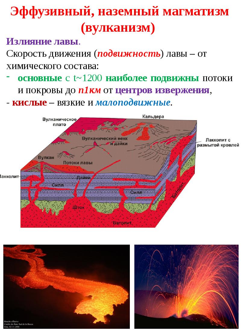 Эндогенные процессы презентация