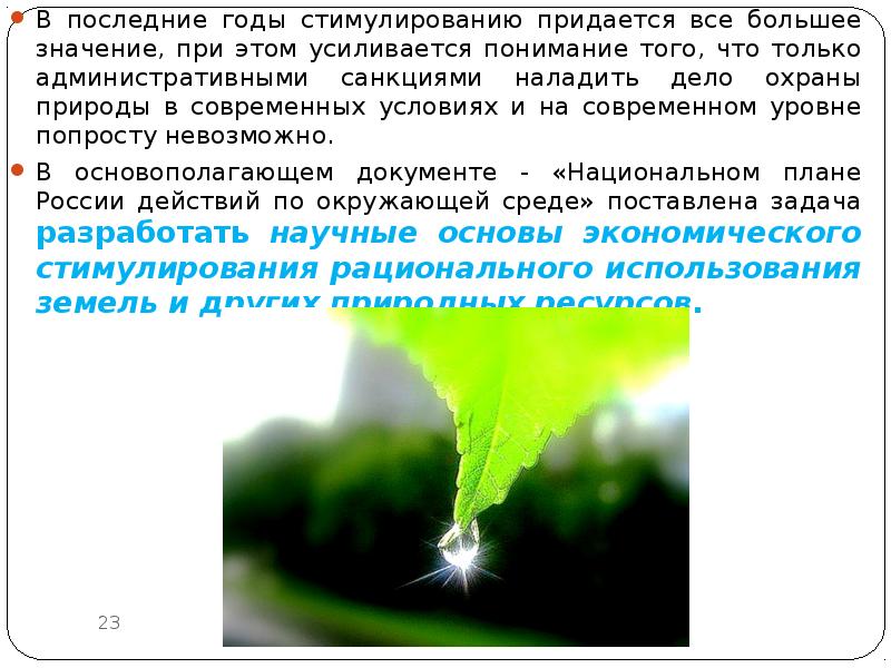 Важное значение придается