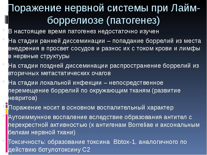 Токсичность тканей. Патогенез боррелиозов. Патогенез боррелиоза. Боррелиоз патогенез.