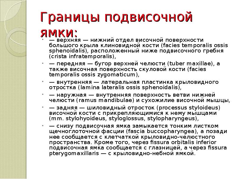Границы подвисочной ямки:  — верхняя — нижний отдел височной поверхности