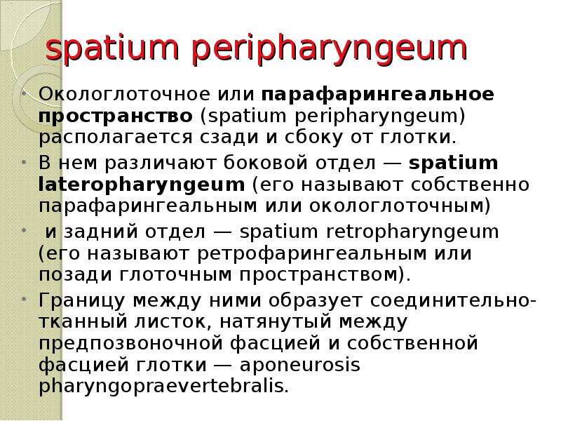 Spatium retropharyngeum