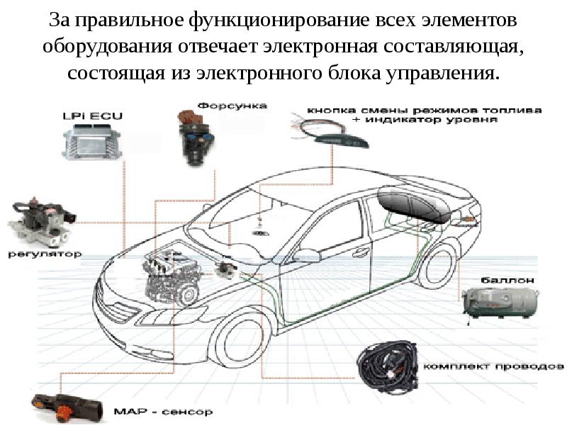 Права второго поколения схема