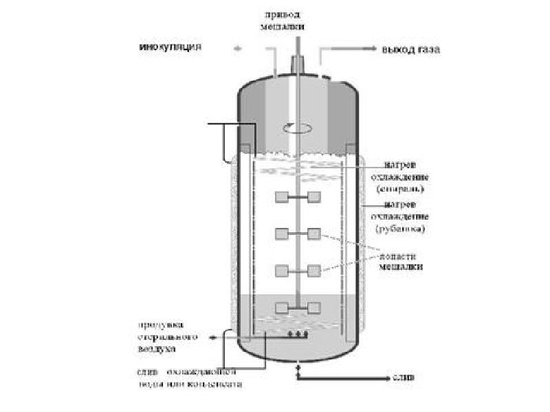 Схема ферментера для периодического культивирования микроорганизмов