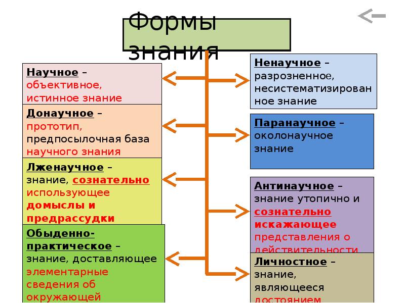 4 формы знания