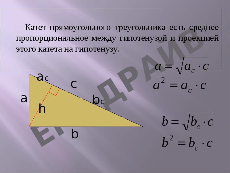 Катет прямоугольного треугольника есть среднее пропорциональное между гипотенузой и проекцией этого