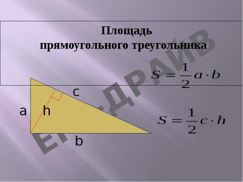 Площадь    Площадь   прямоугольного треугольника