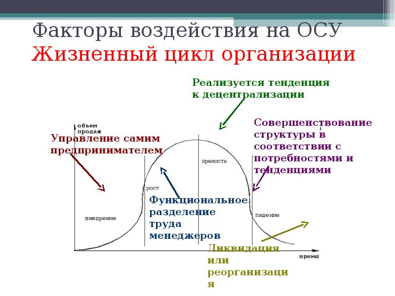 Презентация жизненный цикл организации