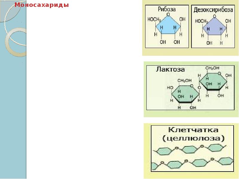 Органические вещества клетки презентация