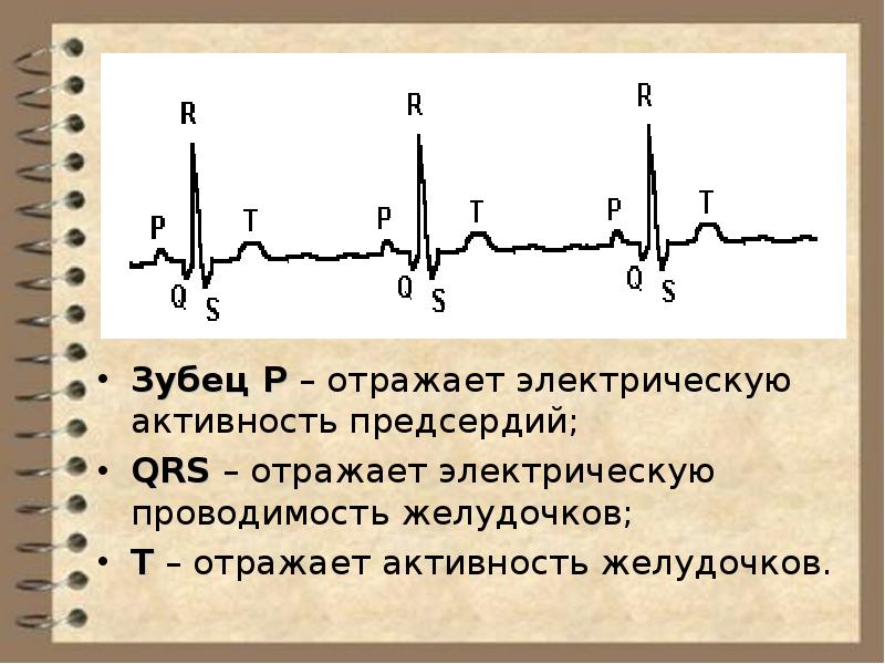 Увеличение электрической активности. Электрические явления в сердечной мышце зубец.