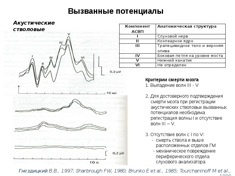 Регистрация слуховых вызванных потенциалов. Вызванные потенциалы. Компоненты ВП.. Расшифровка результатов вызванные потенциалы слуховые. Вызванные потенциалы мозга исследование. Коротколатентные слуховые вызванные потенциалы (КСВП).