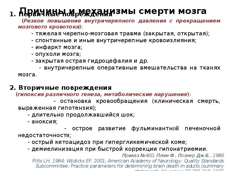 Смерть мозга презентация