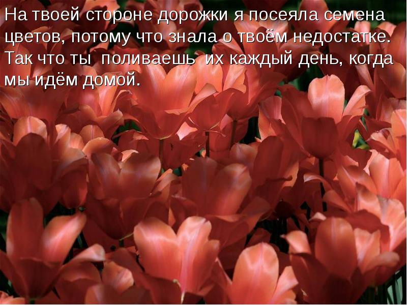 Потому что цветок. В тебе цветет то что ты поливаешь. В тебе цветет то что ты поливаешь цитаты. Потому что цветы это ты.