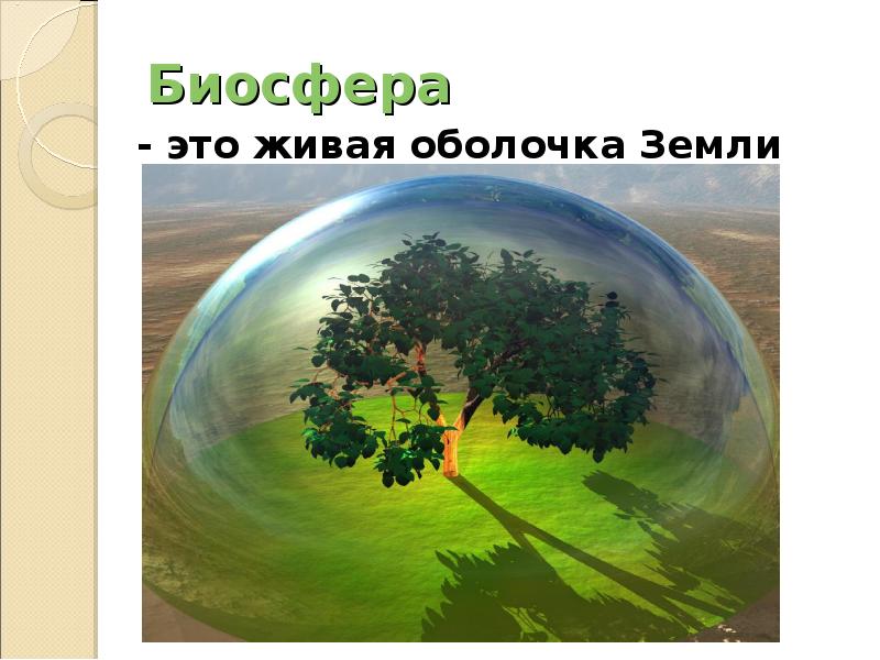 Биосфера - это живая оболочка Земли