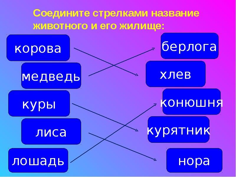 Урок окружающего мира 1 класс как живут животные с презентацией