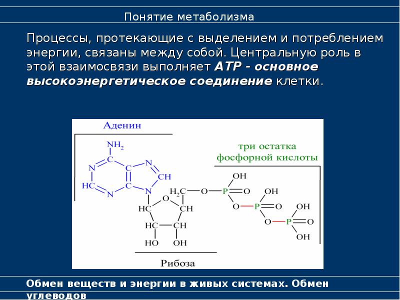 Углевод сколько выделяется энергии