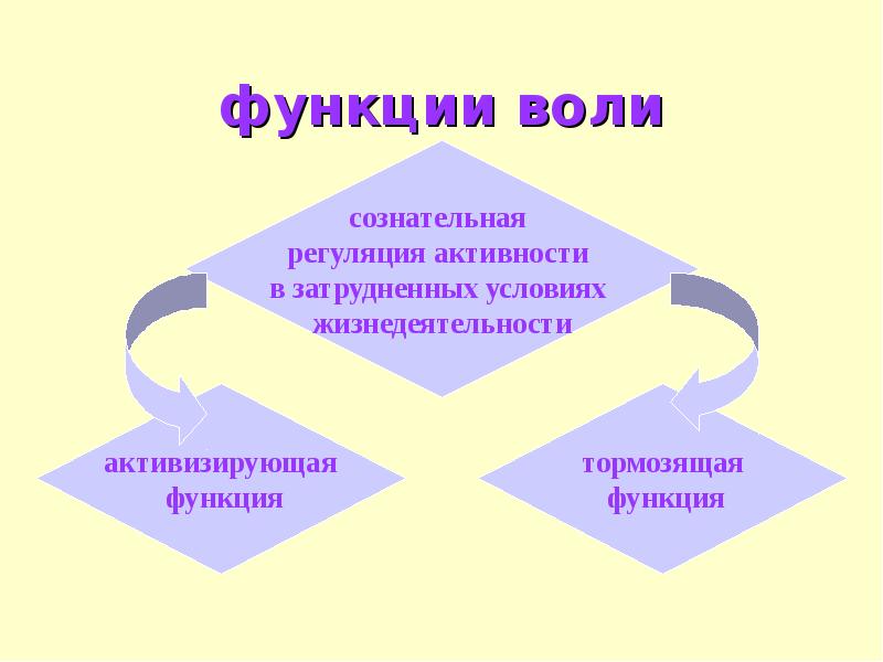 Функции воли