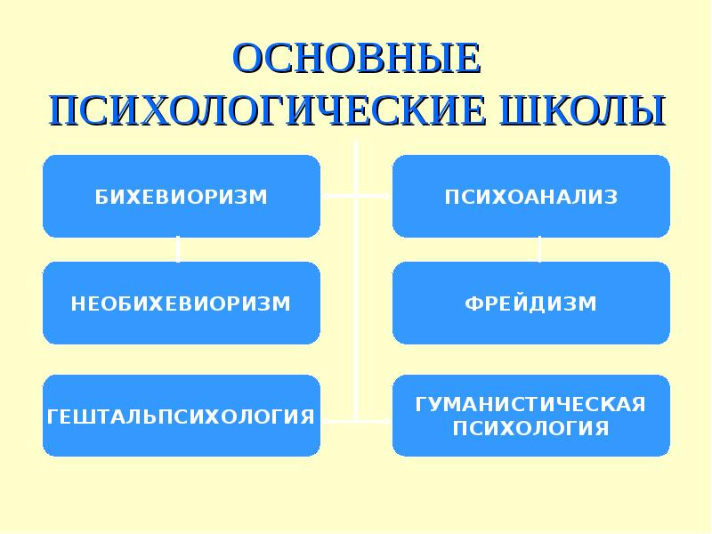 Направления современной психологии презентация