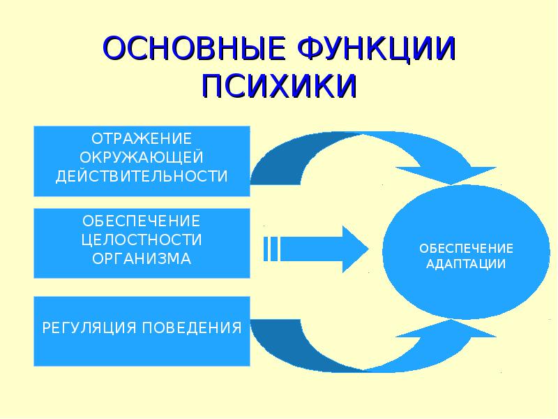 Основные функции психики презентация