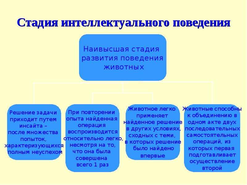 Стадии интеллектуального развития детей