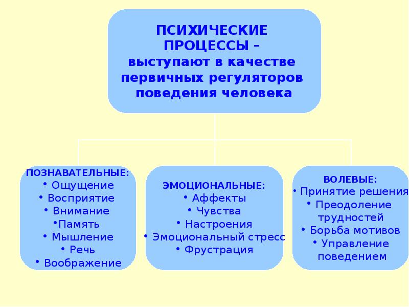 Психические процессы в схемах