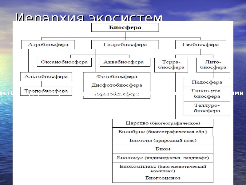 Ресурсы биосферы схема