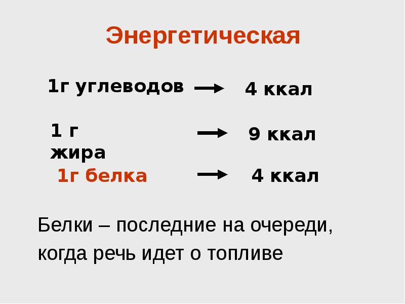 Жир сколько килокалорий. Калорийность 1 г белка. 1 Г белка сколько ккал. 1 Г жира сколько ккал. Сколько калорий в 1 гр белка.