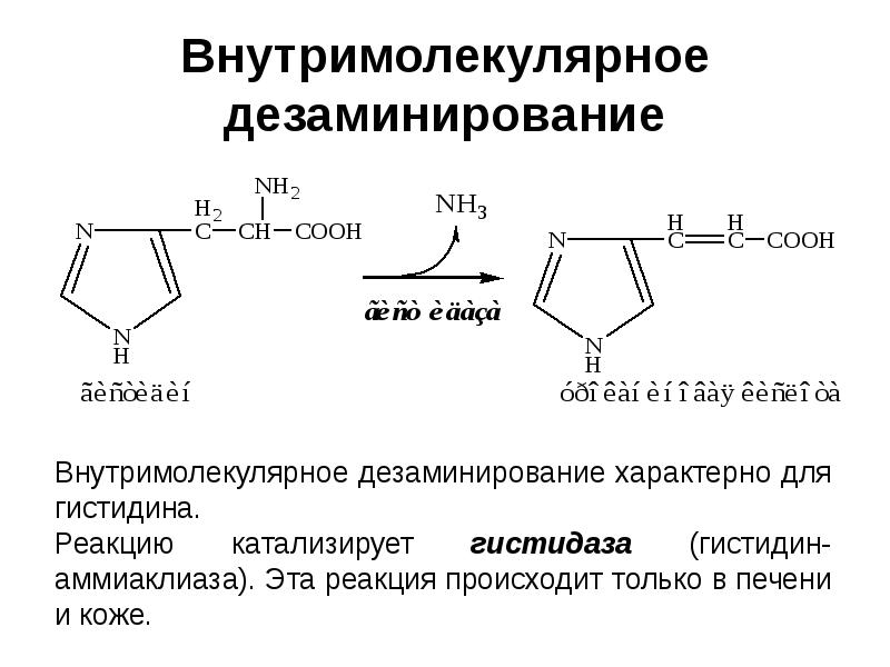 Внутримолекулярное дезаминирование