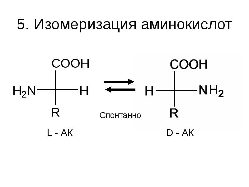 5. Изомеризация аминокислот