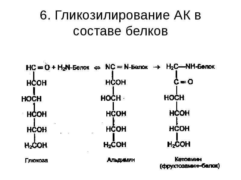6. Гликозилирование АК в составе белков