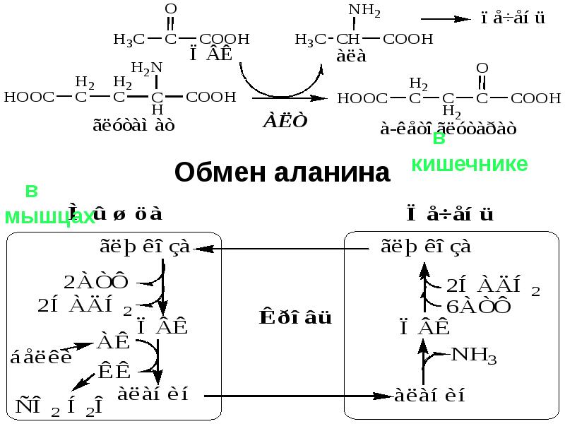 3 и 11 что общего