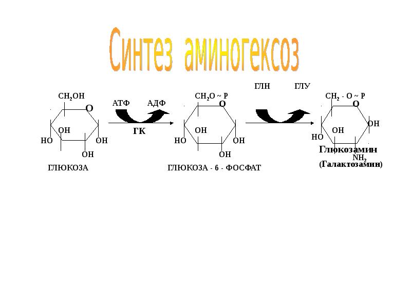 Атф глюкоза адф. D-галактопиранозы. Галактопираноза формула. Глюкопиранозил 6 фосфат. Α-D-галактопираноза 6-фосфат-d-галактопиранозы.