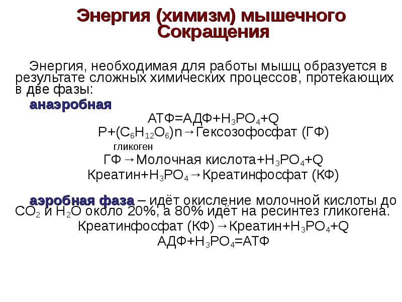 Источник энергии для мышечного сокращения