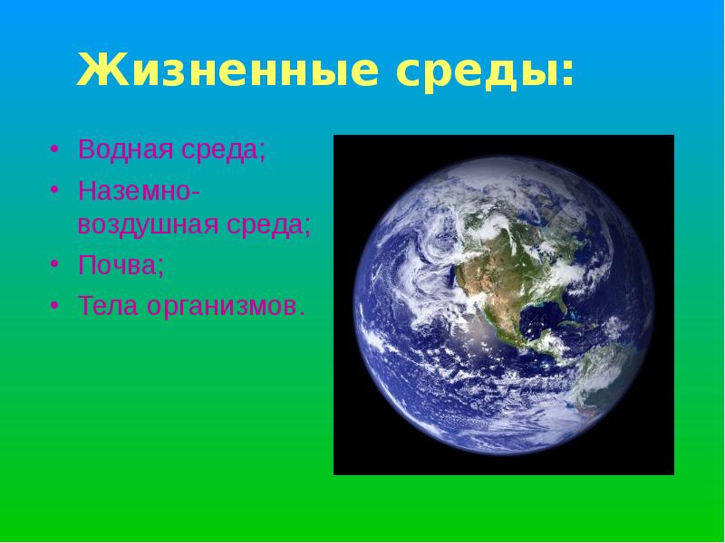 Биосфера среды жизни презентация 9 класс биология