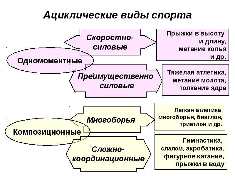 Спортивные игры относят к ациклическим видам