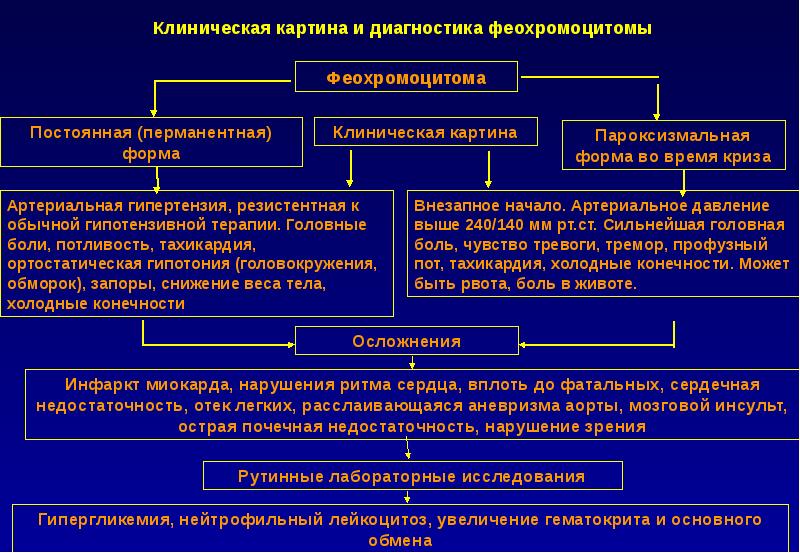 Симптоматическая артериальная гипертензия презентация