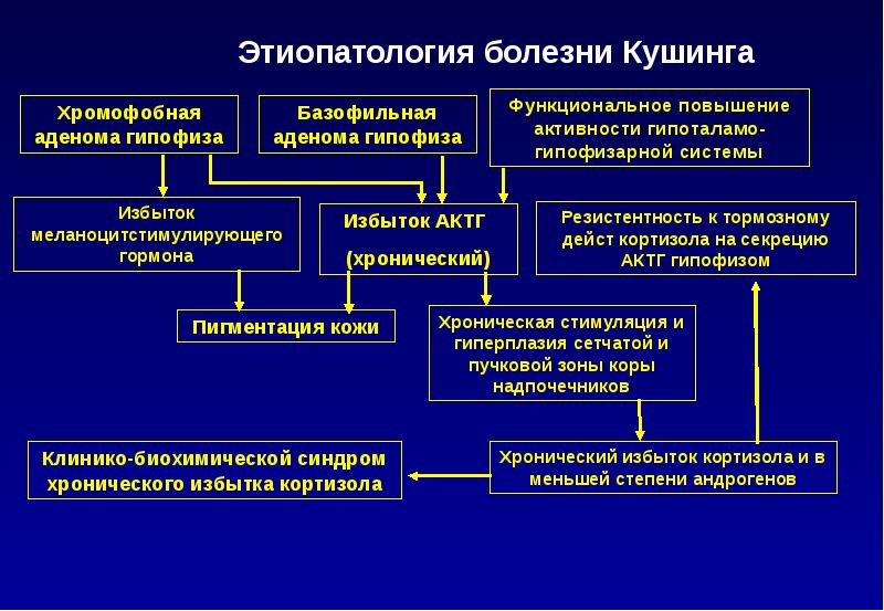 Схема этиологии и патогенеза болезни иценко кушинга