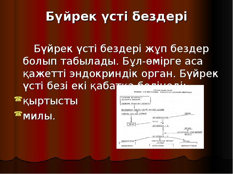 Бүйрек үсті бездері
Бүйрек үсті бездері жұп Бүйрек үсті бездері
Бүйрек үсті бездері жұп