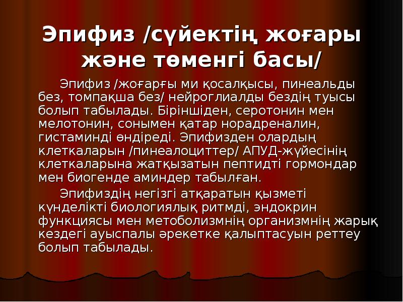 Эпифиз /сүйектің жоғары және төменгі басы/
Эпифиз /сүйектің жоғары және төменгі басы/