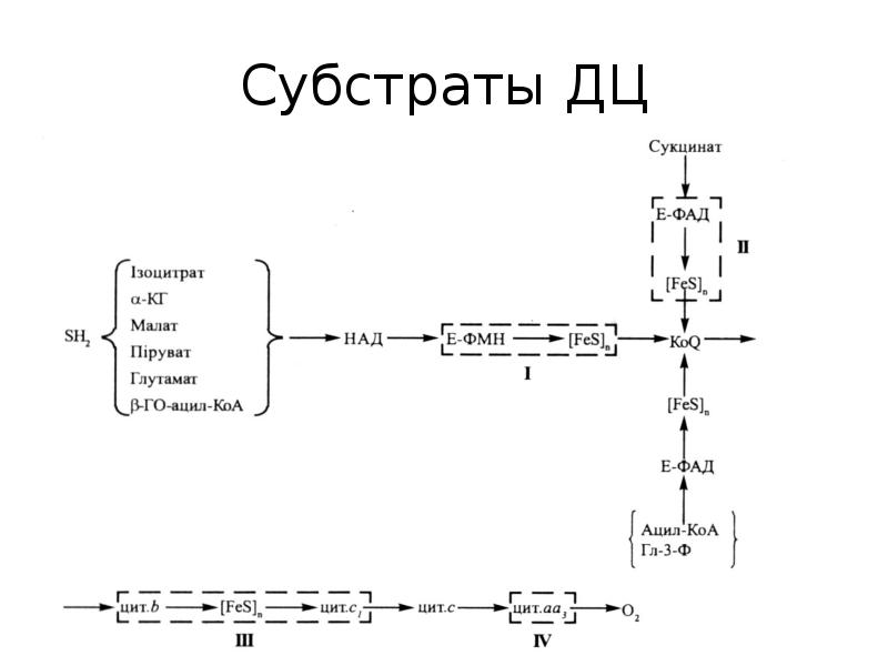 Схема тканевого дыхания